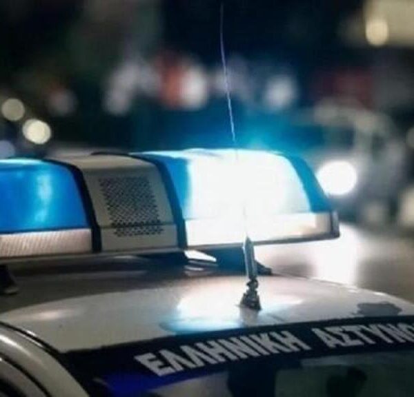 Συνελήφθη Ρομά για δυο διαρρήξεις στην Αμαλιάδα