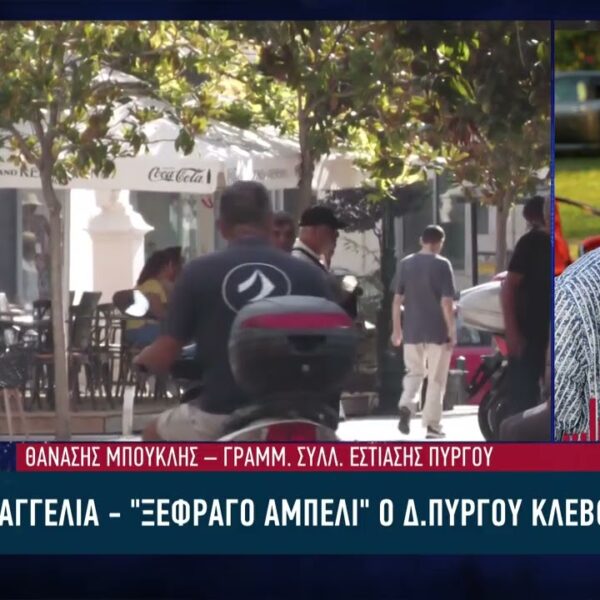 Καταγγελία – «Ξέφραγο αμπέλι» ο Δ. Πύργου κλέβουν, απειλούν (ΒΙΝΤΕΟ)