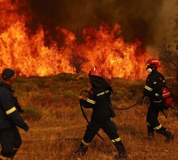 Ζαχάρω: Ενημέρωση για την έναρξη της αντιπυρικής περιόδου