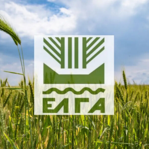 Καταβολή ενισχύσεων 1,25 εκατ. ευρώ σε 386 παραγωγούς από τον ΕΛ.Γ.Α.