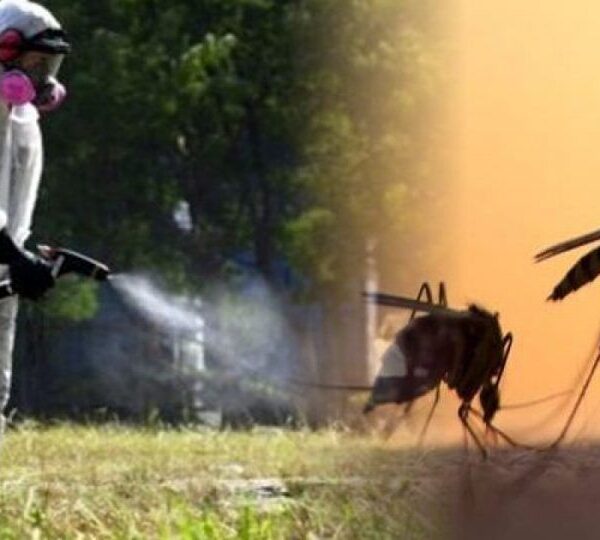 Σε εξέλιξη το τριετές πρόγραμμα καταπολέμησης κουνουπιών της Περιφέρειας Δυτικής Ελλάδας (2026–2028)