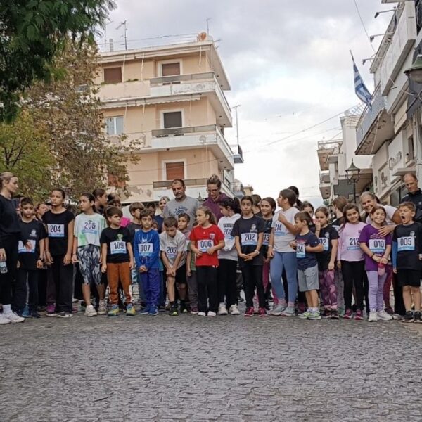 Με απόλυτη επιτυχία διεξήχθη στην Αμαλιάδα, ο Λαϊκός Αγώνας Δρόμου στη μνήμη των ηρώων του Πολυτεχνείου