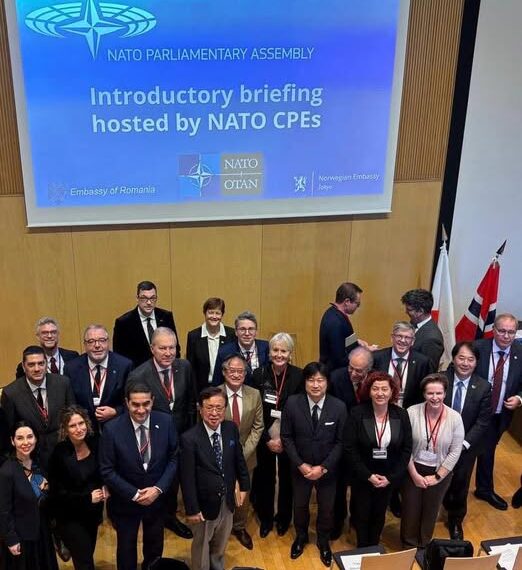 Συνάντηση στην Ιαπωνία με την κοινοβουλευτική αντιπροσωπεία του ΝΑΤΟ είχε ο Μιχάλης Κατρίνης (ΦΩΤΟ)