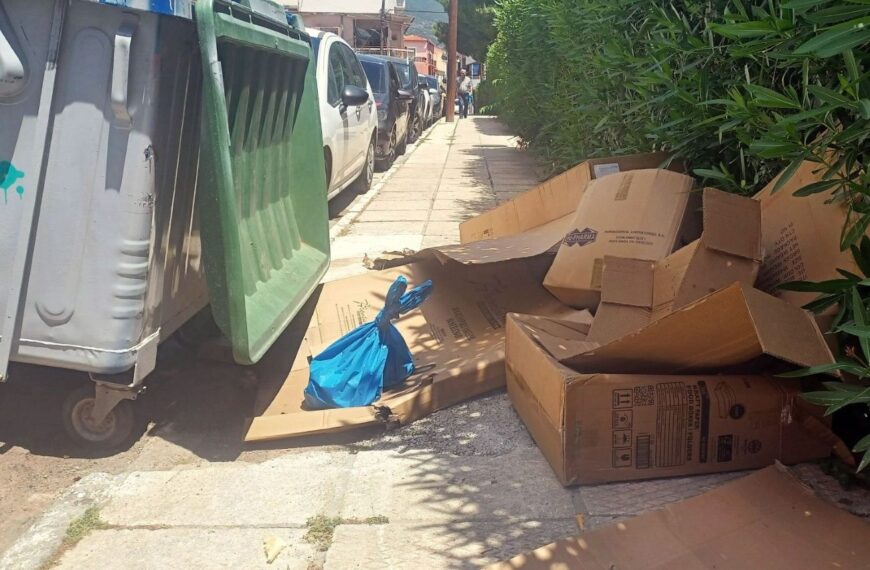 Νέο πρόγραμμα από το Δήμο Ήλιδας για την περισυλλογή των χαρτόκουτων των επιχειρήσεις του Εμπορικού Κέντρου της Αμαλιάδας