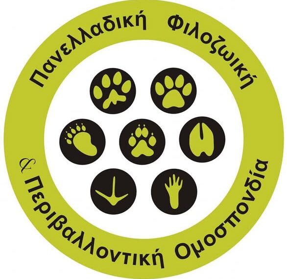 Χριστούγεννα αλληλεγγύης στο 5o Δημοτικό Σχολείο Πύργου