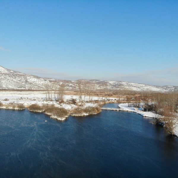 Υδροβιότοπος Άγρα Βρυτών Νησίου – Ένας ζωντανός φυσικός θησαυρός της Έδεσσας