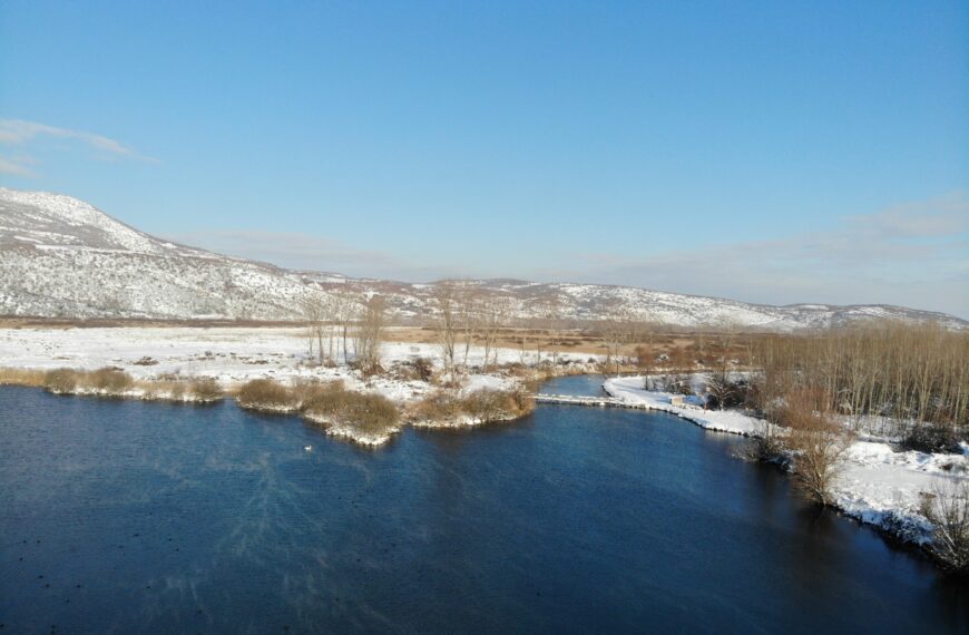 Υδροβιότοπος Άγρα Βρυτών Νησίου – Ένας ζωντανός φυσικός θησαυρός της Έδεσσας