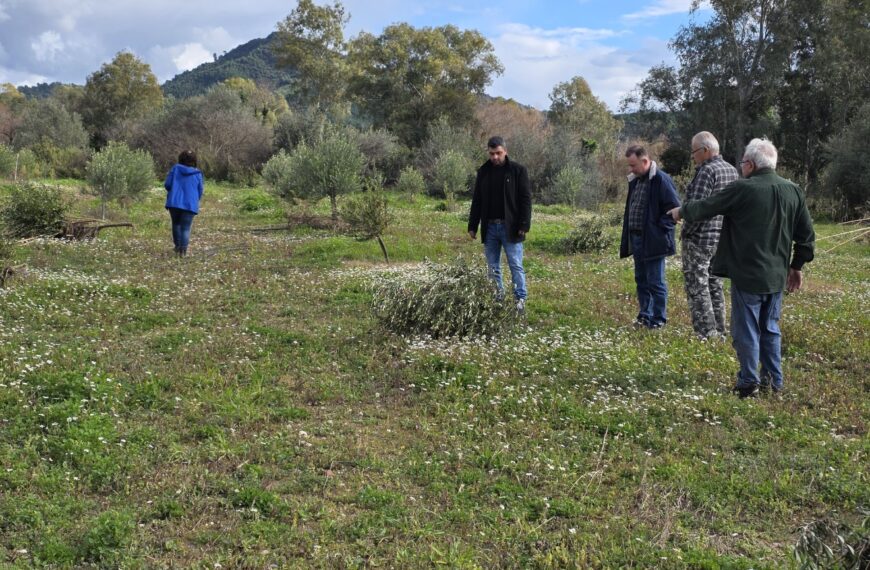 Επίβλεψη και έλεγχος ζημιών από τον ΕΛΓΑ στην Δημοτική Ενότητα Αρχαίας Ολυμπίας (ΦΩΤΟ)