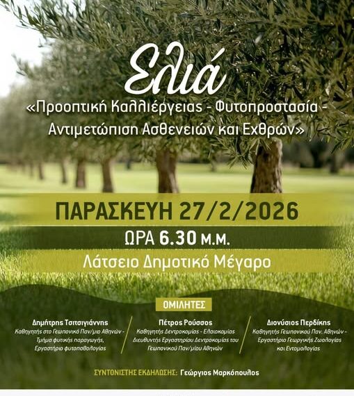 Πύργος: Ημερίδα για την ελιά την Παρασκευή 27 Φεβρουαρίου