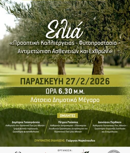 Πύργος: Ημερίδα για την ελιά την Παρασκευή 27 Φεβρουαρίου