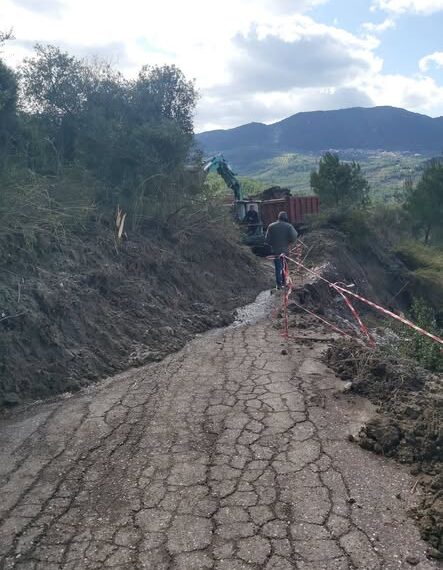Ανδρίτσαινα – Κρέστενα: Δεν θα γίνει μεταφορά μαθητών στις Δ.Κ. Φρίξας και Τρυπητής