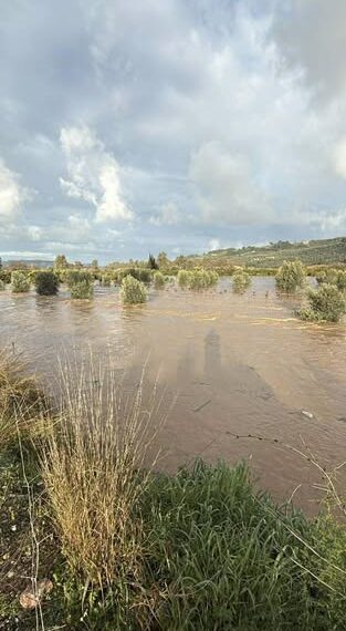 Συναγερμός για υπερχείλιση του Αλφειού ποταμού! – Σε ποιες περιοχές να αποφεύγετε κάθε μετακίνηση;