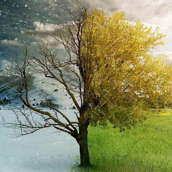 Τα πρώτα νέα του καιρού για την άνοιξη!