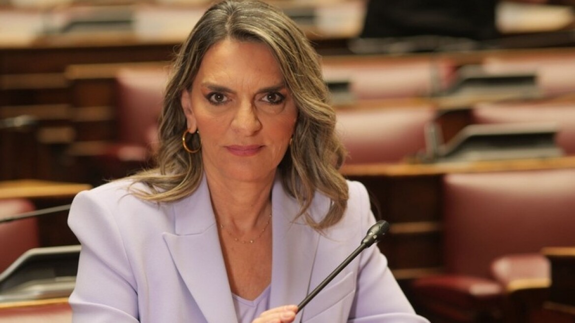 Η Πέτη Πέρκα η νέα πρόεδρος της Νέας Αριστεράς