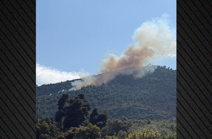 Φωτιά σε δασική έκταση στην Άμπελο Αχαΐας