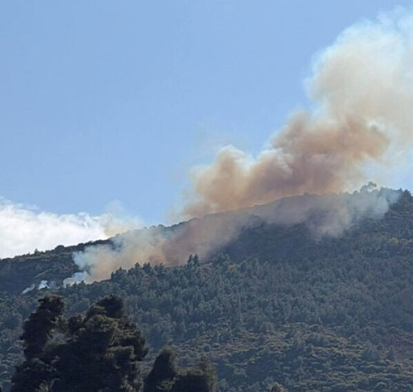 Φωτιά σε δασική έκταση στην Άμπελο Αχαΐας