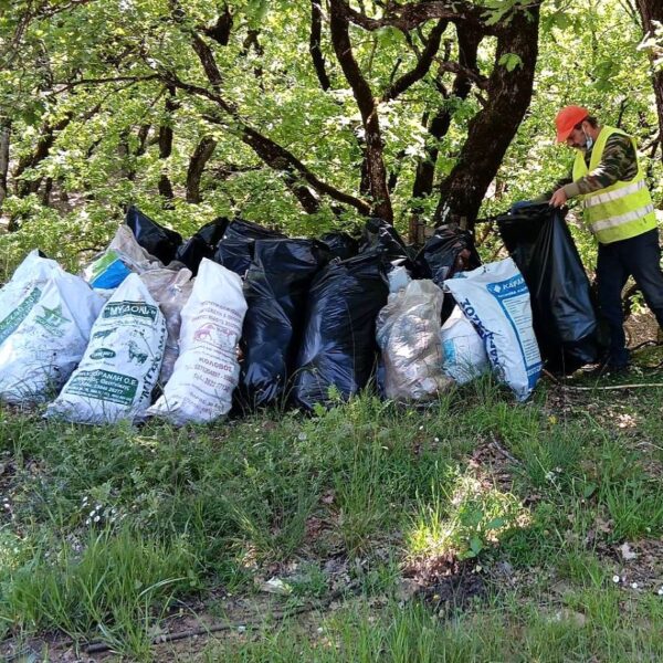 Καθαρισμός του Δρυοδάσους της Κάπελης ενόψει Πρωτομαγιάς