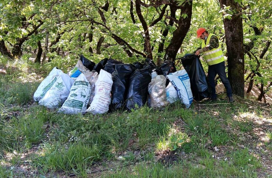 Καθαρισμός του Δρυοδάσους της Κάπελης ενόψει Πρωτομαγιάς