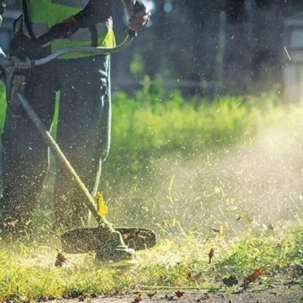 Παράταση έως τις 22 Ιουνίου για τον καθαρισμό και τη δήλωση οικοπέδων