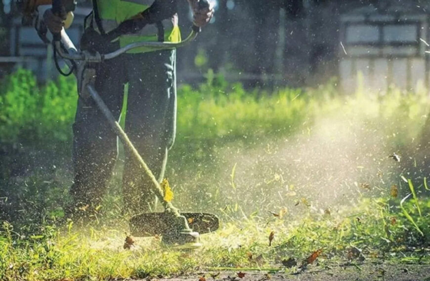Παράταση έως τις 22 Ιουνίου για τον καθαρισμό και τη δήλωση οικοπέδων