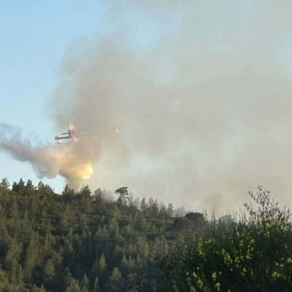 Πυρκαγιά βρίσκεται σε εξέλιξη στη Δροσιά Χαλκίδας!