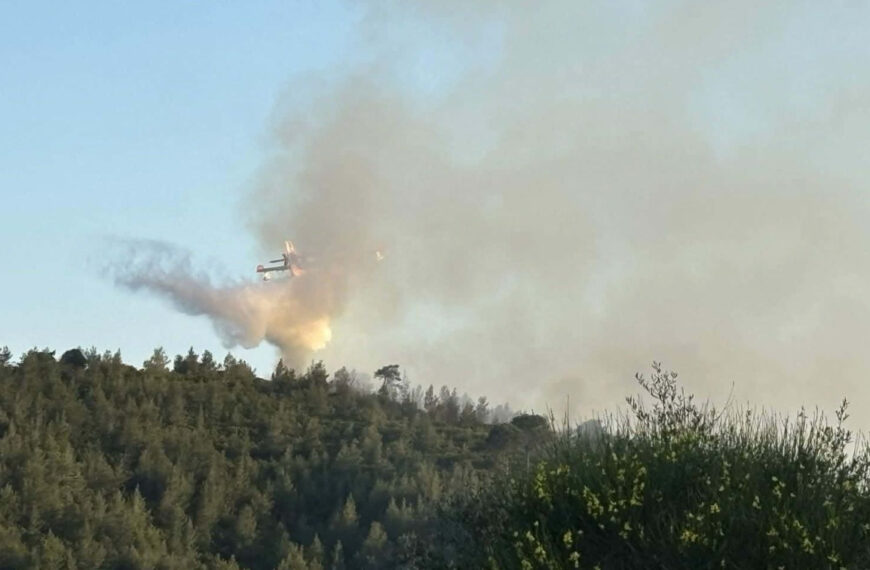 Πυρκαγιά βρίσκεται σε εξέλιξη στη Δροσιά Χαλκίδας!