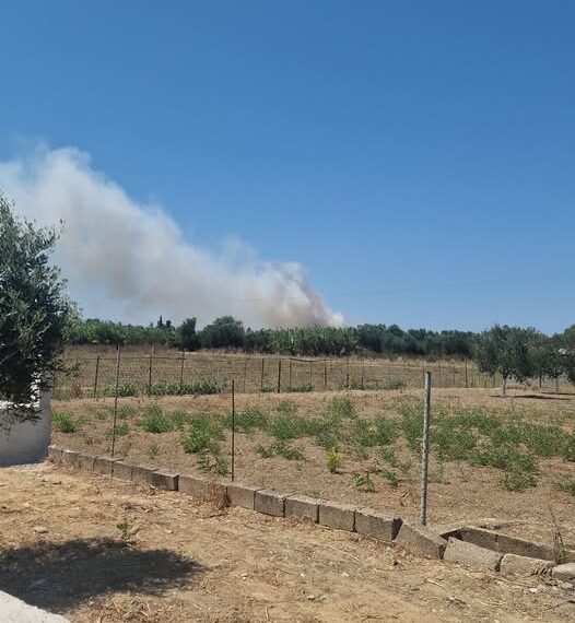 Φωτιά ξέσπασε το μεσημέρι στο Βαρθολομιό!