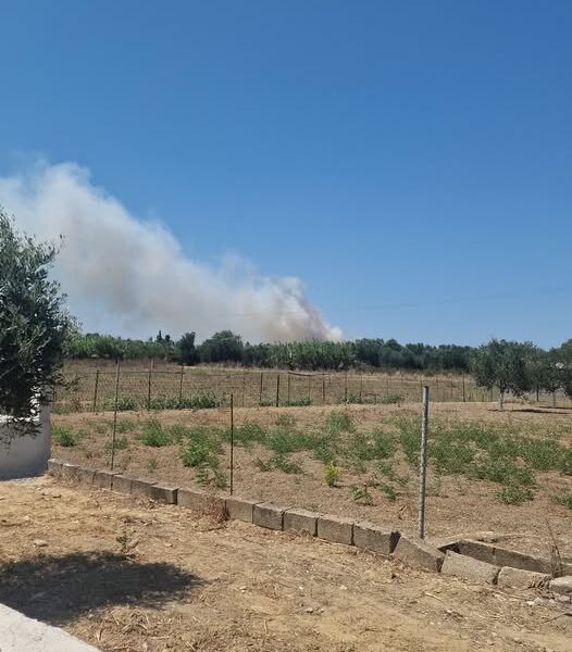 Φωτιά ξέσπασε το μεσημέρι στο Βαρθολομιό!