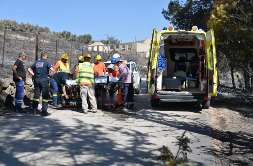 Σοκ στα Φίχτια Αργολίδας: Εργαζόμενος του ΔΕΔΔΗΕ τραυματίστηκε σοβαρά από πτώση δέντρου μετά την πυρκαγιά