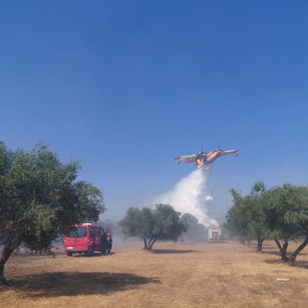 63χρονος συνελήφθη για φωτιά στο Χάβαρι – Πρόστιμο 2.185 ευρώ για πεταμένο τσιγάρο