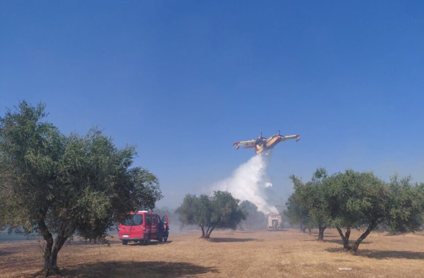 63χρονος συνελήφθη για φωτιά στο Χάβαρι – Πρόστιμο 2.185 ευρώ για πεταμένο τσιγάρο