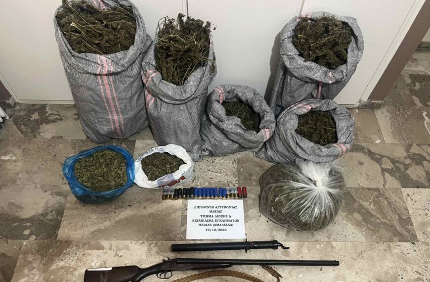 Ήλιδα: 100 δενδρύλλια κάνναβης ύψους έως 4 μέτρα και πάνω από 9 κιλά σε αγρόκτημα